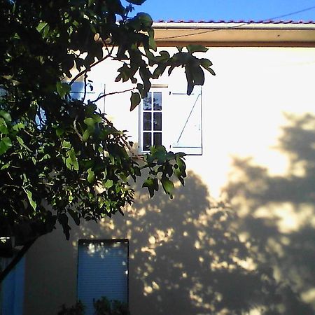 Apartment Albert Parking Prive Gratuit Limoux Exterior photo
